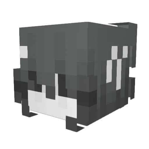 ASLEI Minecraft avatar head, 3D render