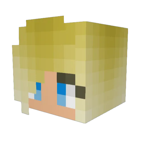 ASM2606 Minecraft avatar head, 3D render