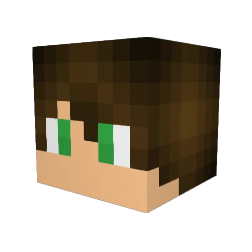 ASP1628 Minecraft avatar head, 3D render