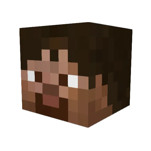 ASSASIENEN Minecraft avatar head, 3D render