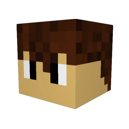 ASTERIC19 Minecraft avatar head, 3D render