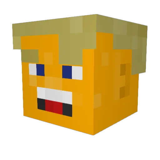 ASTR0469 Minecraft avatar head, 3D render