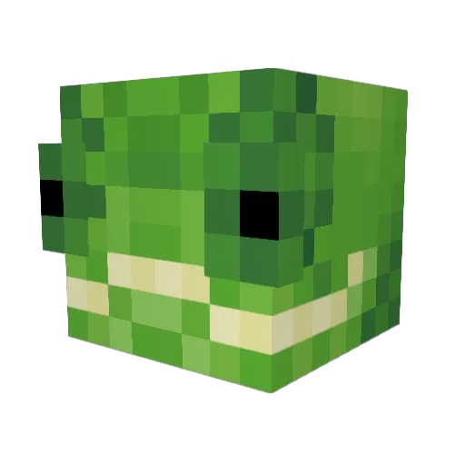 ASTR0KNIGHT1 Minecraft avatar head, 3D render