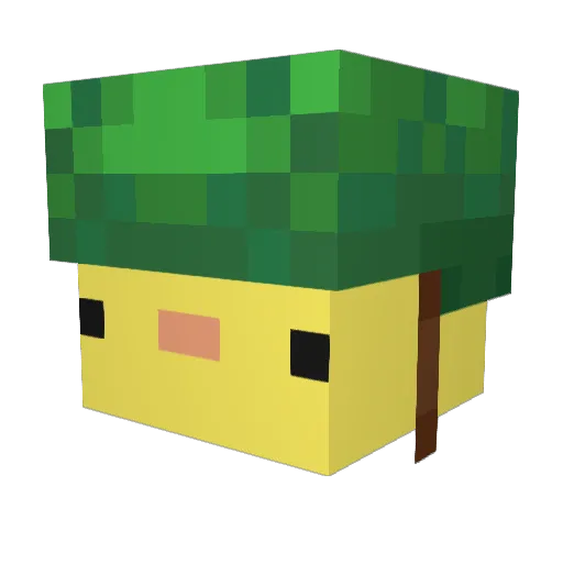 ASTROOOOOOOOOOOO Minecraft avatar head, 3D render