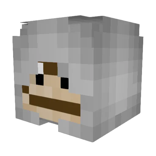 ASTr__0 Minecraft avatar head, 3D render