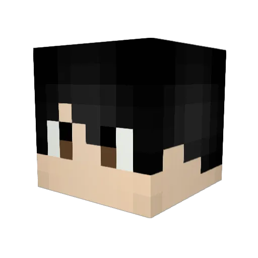 ASUSUAU Minecraft avatar head, 3D render