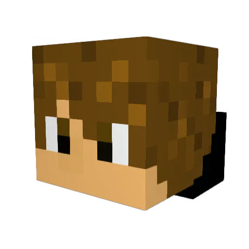 ASV12345678 Minecraft avatar head, 3D render