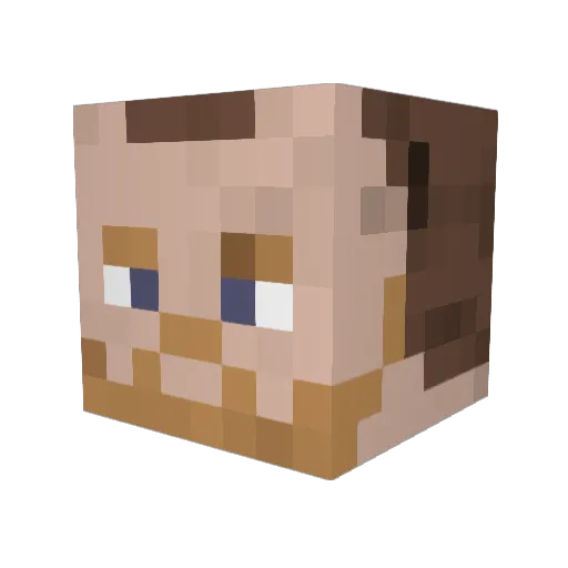 ASadOnion_ Minecraft avatar head, 3D render