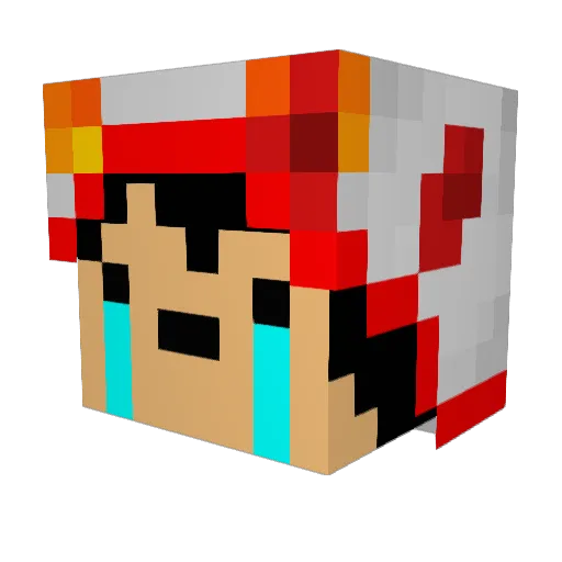 ASaltyFish Minecraft avatar head, 3D render