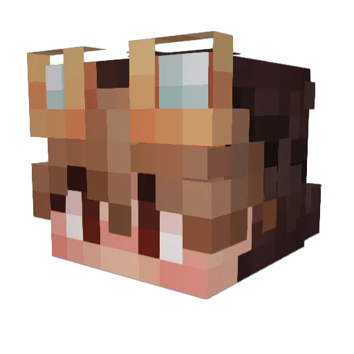 AShopping_Cart Minecraft avatar head, 3D render