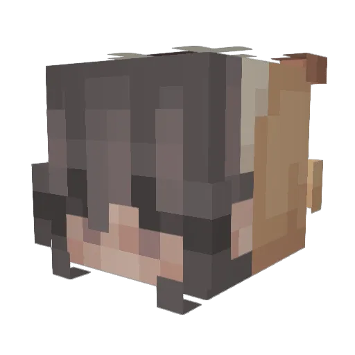 ASingleToast Minecraft avatar head, 3D render