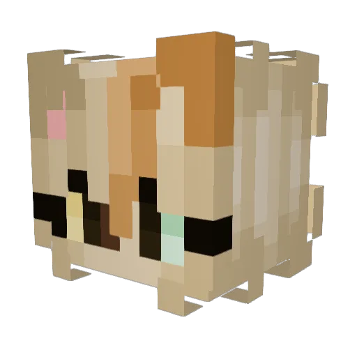 ASliceOfPi03 Minecraft avatar head, 3D render