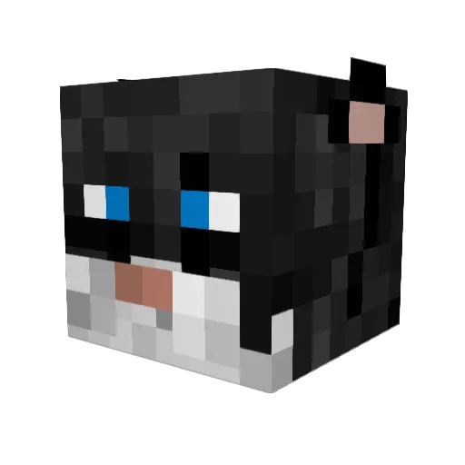 ASneakyKat Minecraft avatar head, 3D render