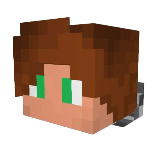 ASoder2005 Minecraft avatar head, 3D render