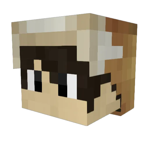 ATA_TGR Minecraft avatar head, 3D render