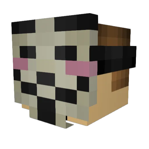 ATOYzer Minecraft avatar head, 3D render