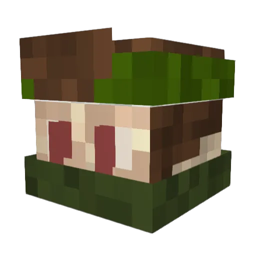AU65ERKONTROLLE Minecraft avatar head, 3D render