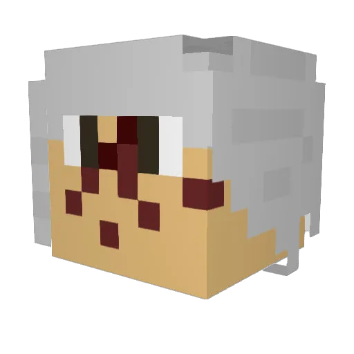 AUBL_Author Minecraft avatar head, 3D render