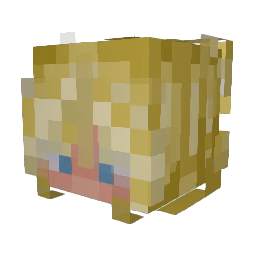 AUPP Minecraft avatar head, 3D render