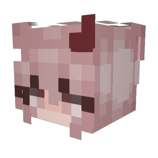 AURAELAYNE Minecraft avatar head, 3D render