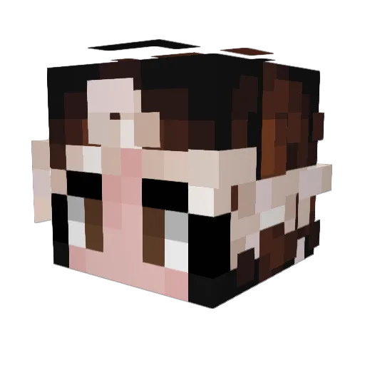 AURorA_arr Minecraft avatar head, 3D render