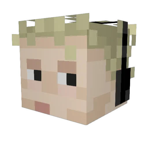 AUSHJR Minecraft avatar head, 3D render