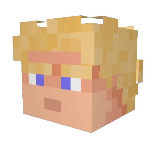 AUSTINTEXAS Minecraft avatar head, 3D render