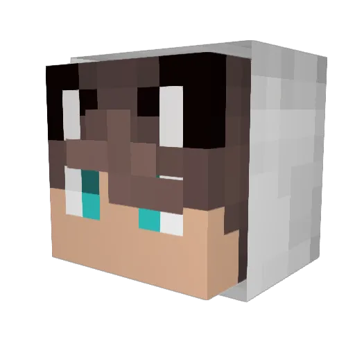 AUmeow Minecraft avatar head, 3D render
