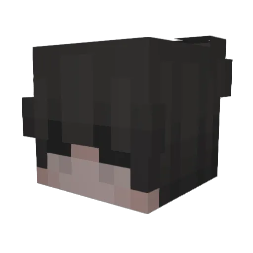 AV Minecraft avatar head, 3D render