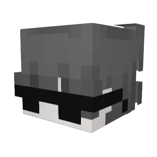 AVATAR2011 Minecraft avatar head, 3D render