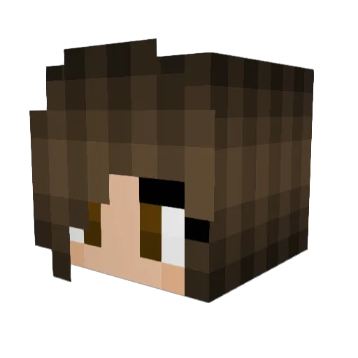 AVAcado2008 Minecraft avatar head, 3D render