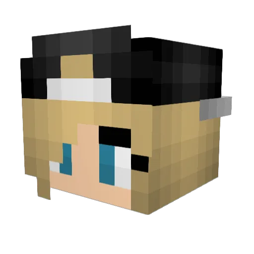 AVERYARMAY Minecraft avatar head, 3D render