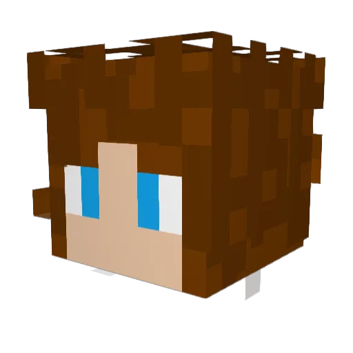 AVFGLEO Minecraft avatar head, 3D render