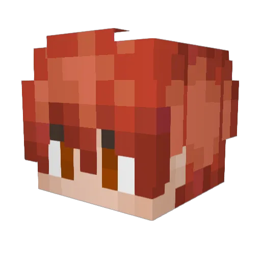 AVG_Killer6921 Minecraft avatar head, 3D render