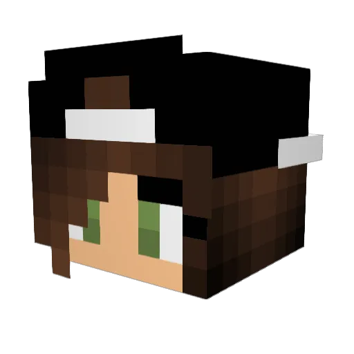 AVI212 Minecraft avatar head, 3D render