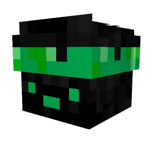 AVeryHomeless Minecraft avatar head, 3D render