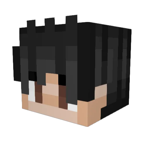 AVerySleepyGuy Minecraft avatar head, 3D render