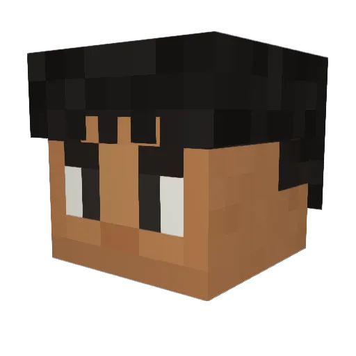 AWOL_Trix Minecraft avatar head, 3D render