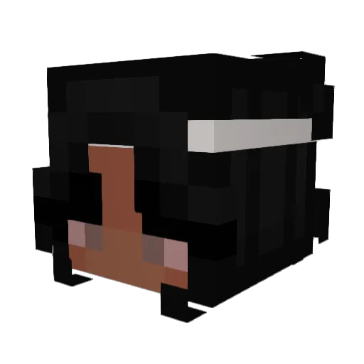 AWStudios1 Minecraft avatar head, 3D render