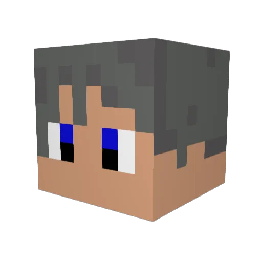 AWanderingNerd Minecraft avatar head, 3D render
