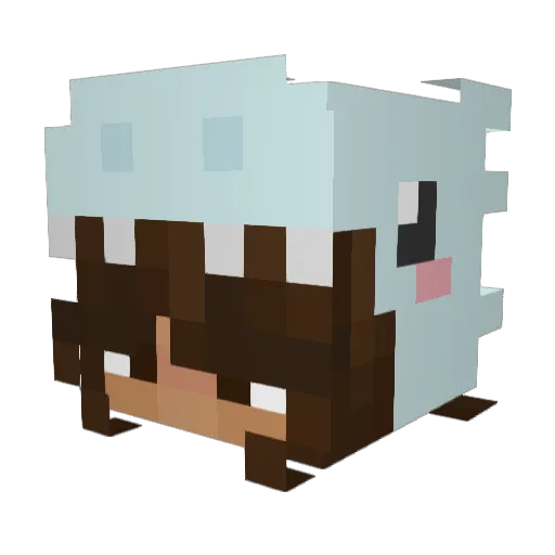 AWeedi Minecraft avatar head, 3D render