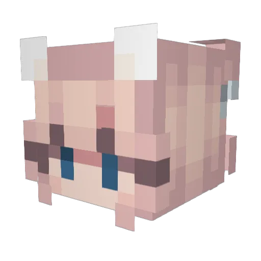 AWeird5thGrader Minecraft avatar head, 3D render