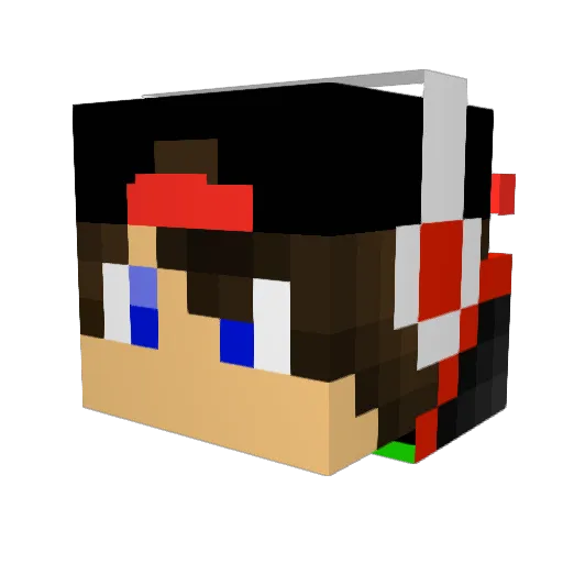 AWildFishDog Minecraft avatar head, 3D render