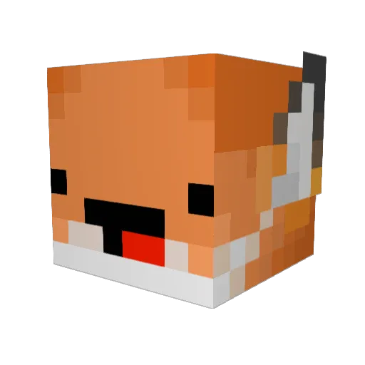 AWildPikamoo Minecraft avatar head, 3D render