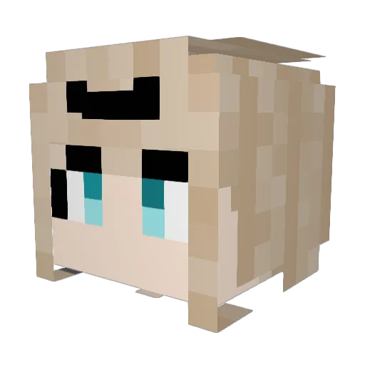 AWinterGhost Minecraft avatar head, 3D render