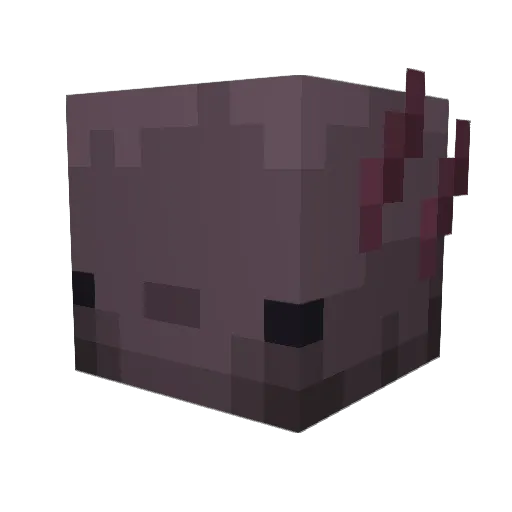 AXELlotal80 Minecraft avatar head, 3D render