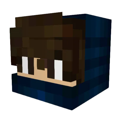 AX_Plays Minecraft avatar head, 3D render