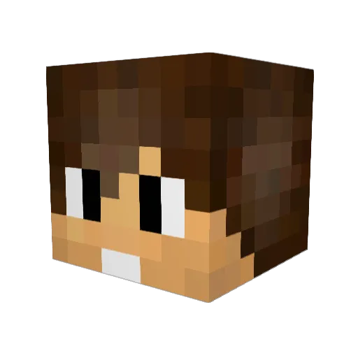 AYEEEELMAOO Minecraft avatar head, 3D render