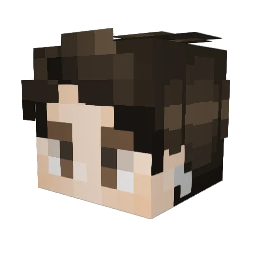 AYESUNG Minecraft avatar head, 3D render