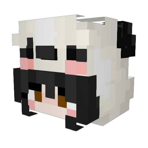AYLA_K8888 Minecraft avatar head, 3D render